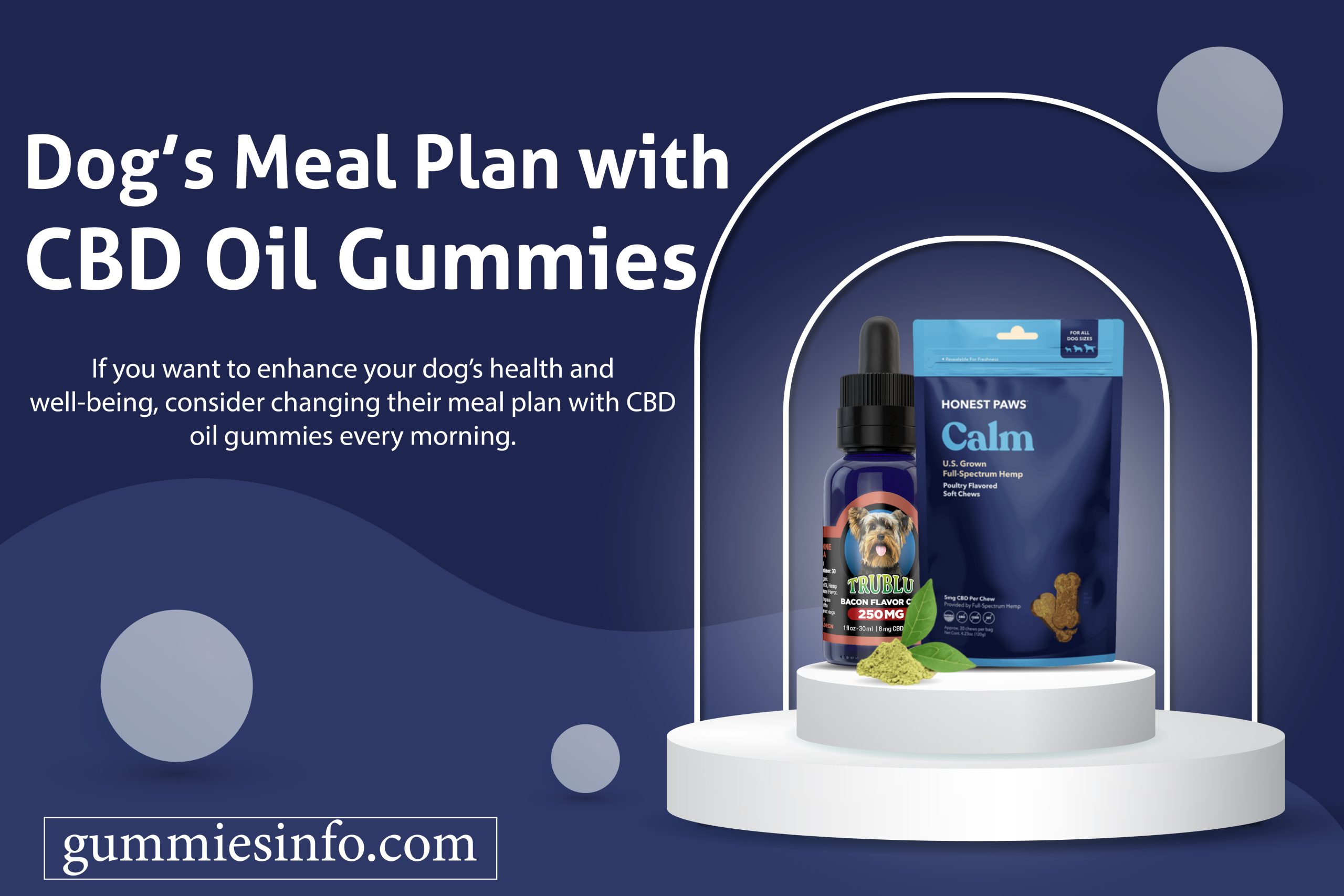 Dog’s Meal Plan with CBD Oil Gummies